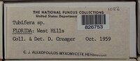 Image Associated With the Occurence